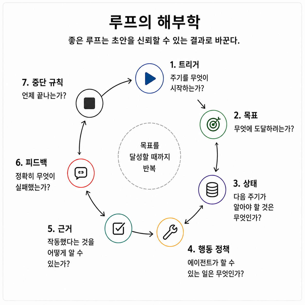 루프의 해부학